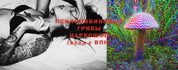 ECSTASY Мегион